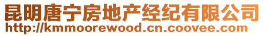 昆明唐寧房地產經紀有限公司