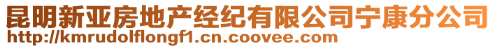 昆明新亞房地產經紀有限公司寧康分公司