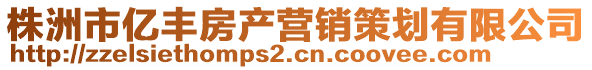 株洲市億豐房產營銷策劃有限公司