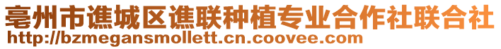 亳州市譙城區(qū)譙聯(lián)種植專業(yè)合作社聯(lián)合社