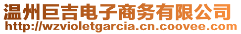 溫州巨吉電子商務(wù)有限公司