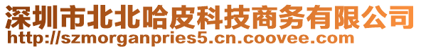 深圳市北北哈皮科技商務(wù)有限公司