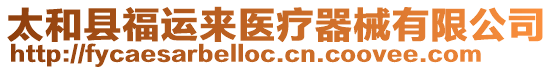 太和縣福運(yùn)來(lái)醫(yī)療器械有限公司