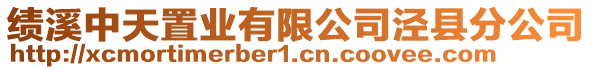 績溪中天置業有限公司涇縣分公司