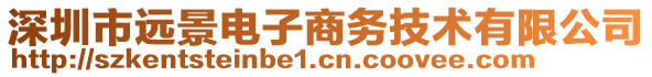 深圳市遠景電子商務技術有限公司