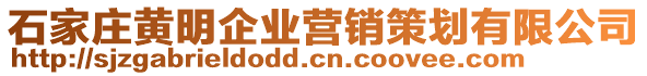 石家莊黃明企業營銷策劃有限公司