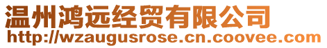溫州鴻遠(yuǎn)經(jīng)貿(mào)有限公司