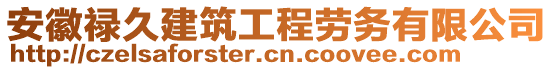 安徽祿久建筑工程勞務(wù)有限公司