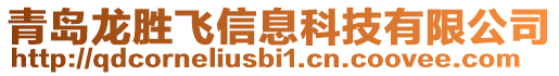 青島龍勝飛信息科技有限公司