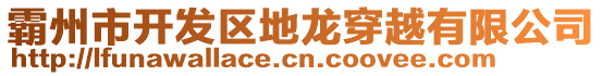 霸州市開(kāi)發(fā)區(qū)地龍穿越有限公司