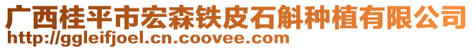 廣西桂平市宏森鐵皮石斛種植有限公司