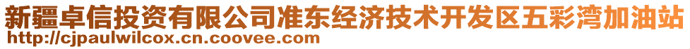 新疆卓信投資有限公司準(zhǔn)東經(jīng)濟(jì)技術(shù)開發(fā)區(qū)五彩灣加油站