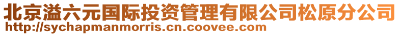 北京溢六元國際投資管理有限公司松原分公司