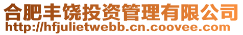 合肥豐饒投資管理有限公司