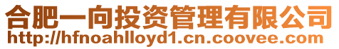 合肥一向投資管理有限公司