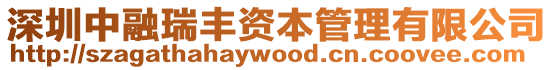 深圳中融瑞豐資本管理有限公司