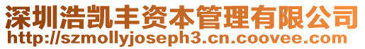 深圳浩凱豐資本管理有限公司