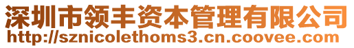 深圳市領豐資本管理有限公司