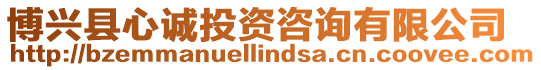 博興縣心誠投資咨詢有限公司
