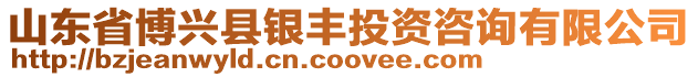 山東省博興縣銀豐投資咨詢有限公司