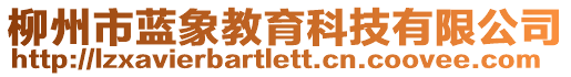 柳州市藍(lán)象教育科技有限公司