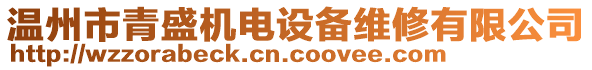 溫州市青盛機(jī)電設(shè)備維修有限公司