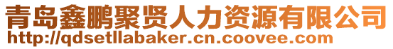 青島鑫鵬聚賢人力資源有限公司