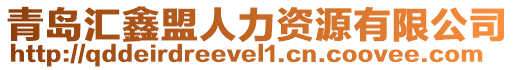 青島匯鑫盟人力資源有限公司