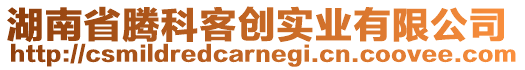 湖南省騰科客創(chuàng)實業(yè)有限公司