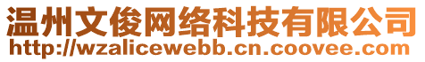 溫州文俊網(wǎng)絡(luò)科技有限公司