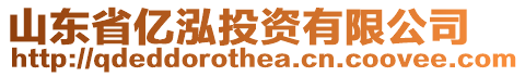 山東省億泓投資有限公司