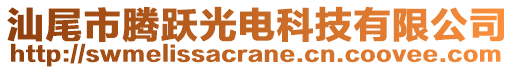 汕尾市騰躍光電科技有限公司