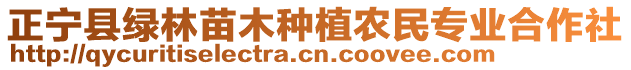 正寧縣綠林苗木種植農(nóng)民專業(yè)合作社