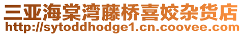 三亞海棠灣藤橋喜姣雜貨店