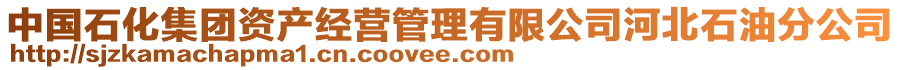 中國(guó)石化集團(tuán)資產(chǎn)經(jīng)營(yíng)管理有限公司河北石油分公司