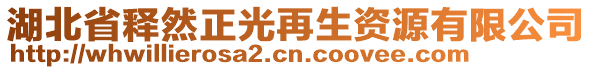 湖北省釋然正光再生資源有限公司