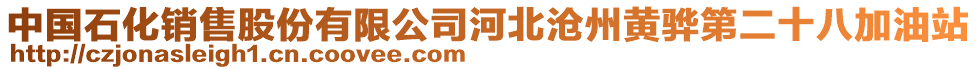 中國(guó)石化銷售股份有限公司河北滄州黃驊第二十八加油站