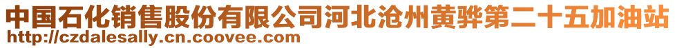 中國石化銷售股份有限公司河北滄州黃驊第二十五加油站