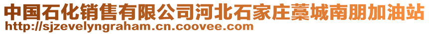 中國(guó)石化銷售有限公司河北石家莊藁城南朋加油站