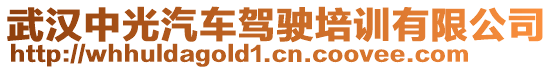 武漢中光汽車駕駛培訓(xùn)有限公司