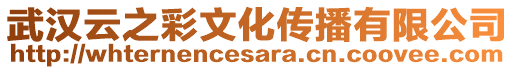 武漢云之彩文化傳播有限公司