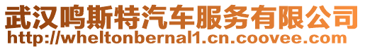 武漢鳴斯特汽車服務(wù)有限公司