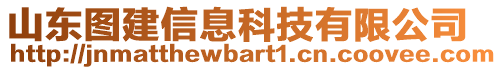 山東圖建信息科技有限公司