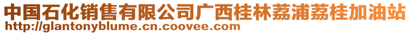 中國(guó)石化銷售有限公司廣西桂林荔浦荔桂加油站