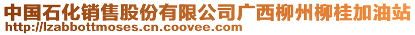 中國(guó)石化銷售股份有限公司廣西柳州柳桂加油站