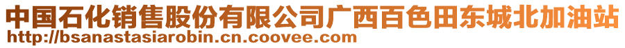 中國石化銷售股份有限公司廣西百色田東城北加油站