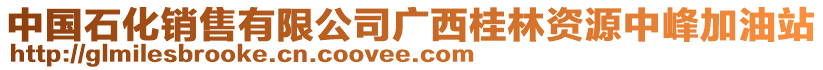 中國石化銷售有限公司廣西桂林資源中峰加油站