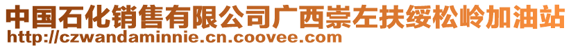 中國石化銷售有限公司廣西崇左扶綏松嶺加油站