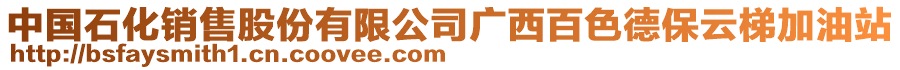 中國石化銷售股份有限公司廣西百色德保云梯加油站