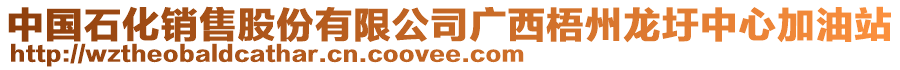 中國(guó)石化銷售股份有限公司廣西梧州龍圩中心加油站